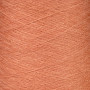 102008 Персик