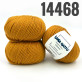 Asian 14468 Гірчиця