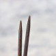 Спиці LYKKE "Umber" Роз'ємні (укорочені)